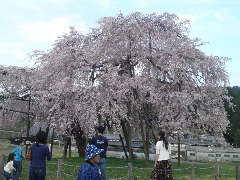 m_090412_hanami02.jpg