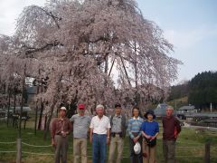 090412_hanami08.jpg