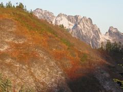 0910_jiigatake03.jpg