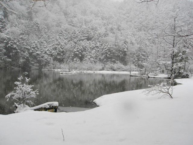 m_100228kamikochi_1325