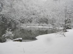 100228kamikochi_1325