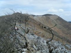 100410_ryozen_002.jpg
