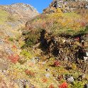 下堀沢の紅葉