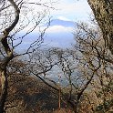 富士山が見えてきた