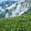 お花畑の彼方に鹿島槍