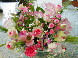 �t�����[�A�����W1