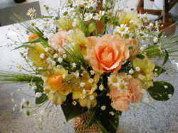 �t�����[�A�����W2